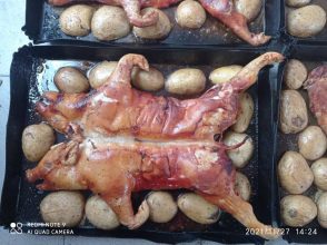 479674427_4063243573954387_2885124434033478350_n